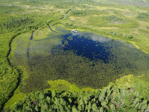 An aerial view of a water trail on the Okefenokee Swamp National Wildlife Refuge.